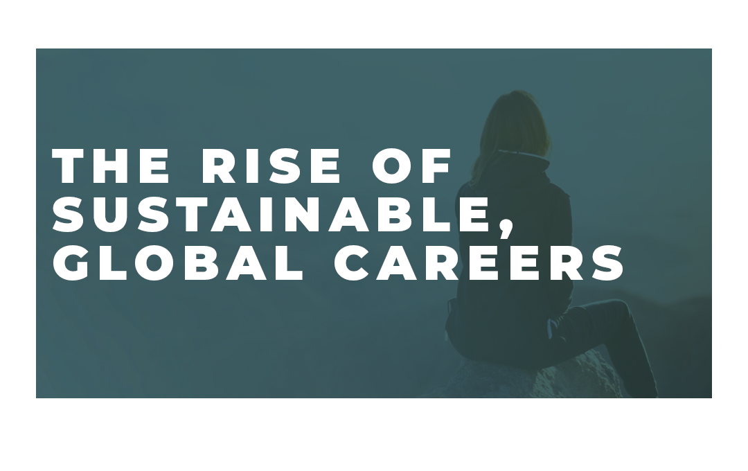 Vision 2030 - scenario - sustainable global careers Vision 2030 - scenario - sustainable global careers